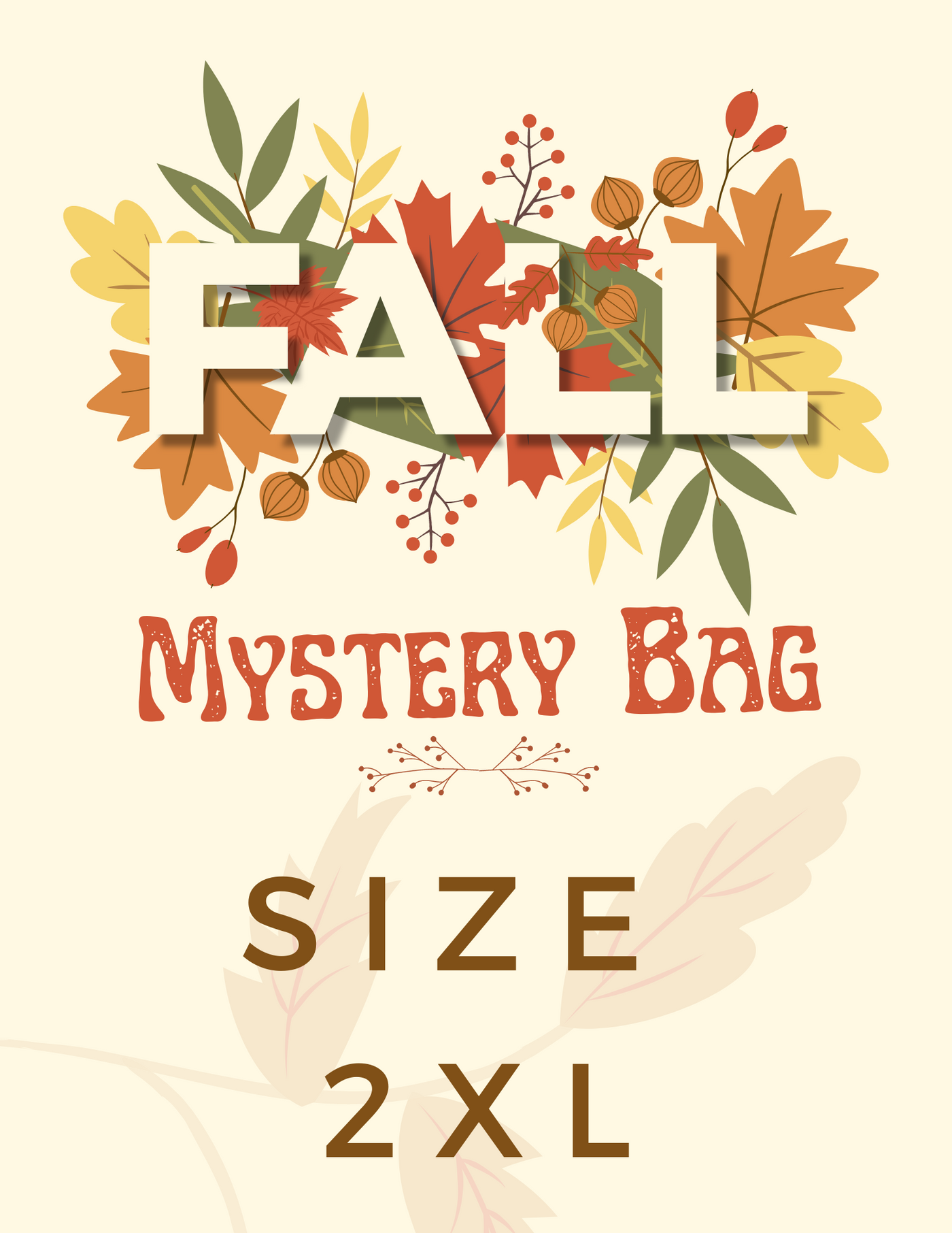 2XL - Mystery bag