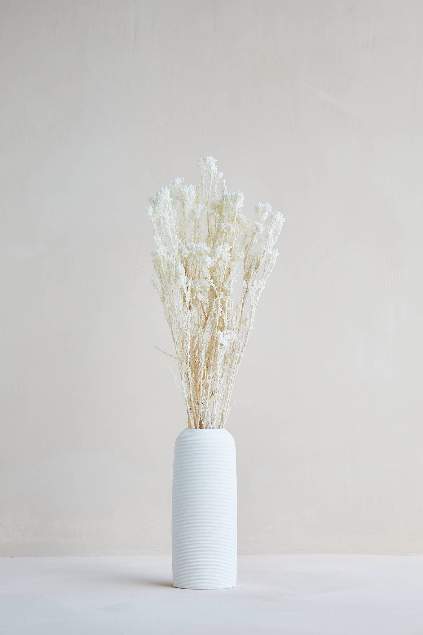 Preserved Rice Flower in White